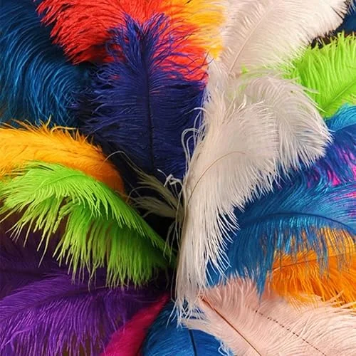 10Pcs Bulk Natural Colorful Ostrich Feathers,12-14 inch (30-35cm) Beautiful Long Feather for Crafts,Wedding Centerpieces Party Home Decoration,Dress and Christmas DIY (Colorful, 12-14in)