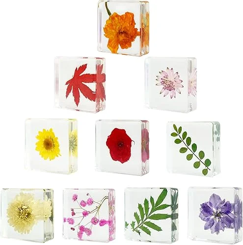 10PCS Dried Flower Paperweight Pressed Flower Paper Weight Real Resin Crafts Decoration Pattern Paper Weights for Women Gifts Outdoor Office Desk Ornaments Christmas