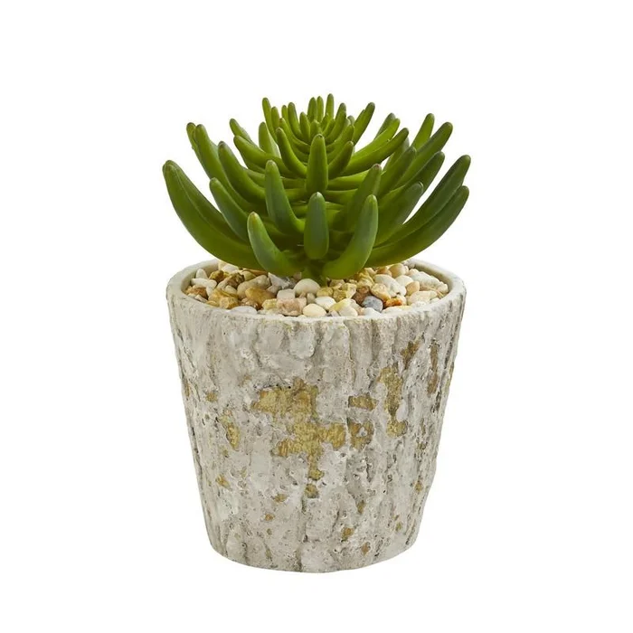 11″ Succulent Artificial Plant in Weathered Oak Planter