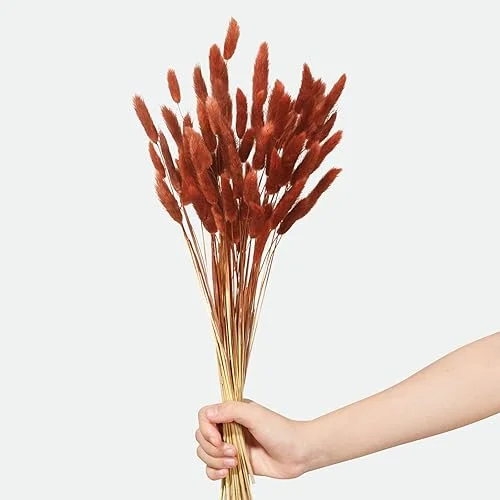 120pcs Bunny Tails Dried Flowers Plant Boho Pampas Grass 17 inch for Home Decor Wedding Bouquet Natural Flower Arrangements (Burnt Orange)