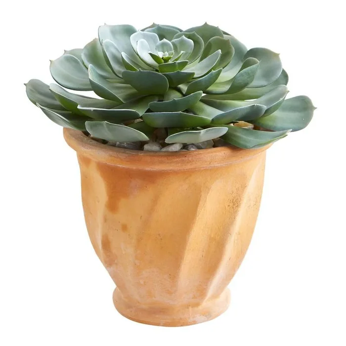 13′ Giant Echeveria Succulent Artificial Plant in Terra Cotta Planter