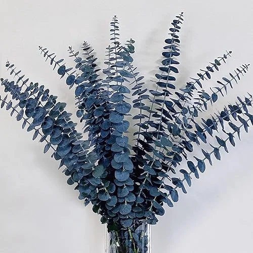 15Pcs Dried Preserved Blue Eucalyptus Stems, 100% Natural Fresh Eucalyptus Plant, Fresh Eucalyptus for DIY Wedding Party Home Shower Decor, 17′ Eucalyptus Bouquet Floral Arrangement Vase Filler