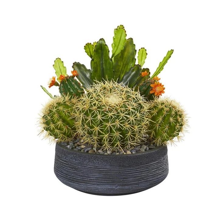 16″ Mixed Cactus Artificial Plant in Decorative Bowl