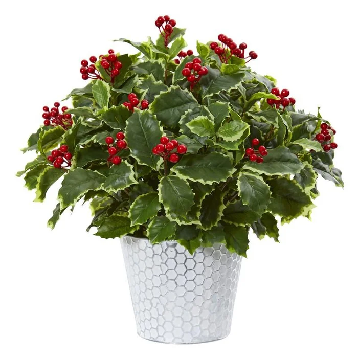 17″ Variegated Holly Leaf Artificial Plant in Decorative Planter (Real Touch)