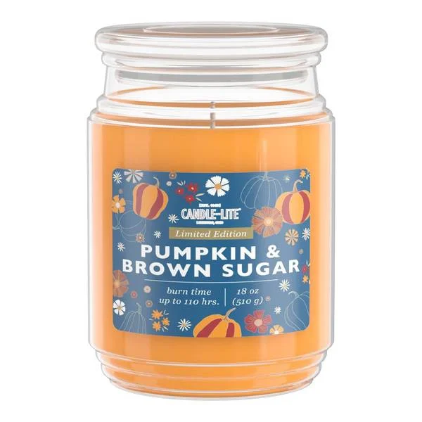 18 oz Pumpkin & Brown Sugar Scented Jar Candle