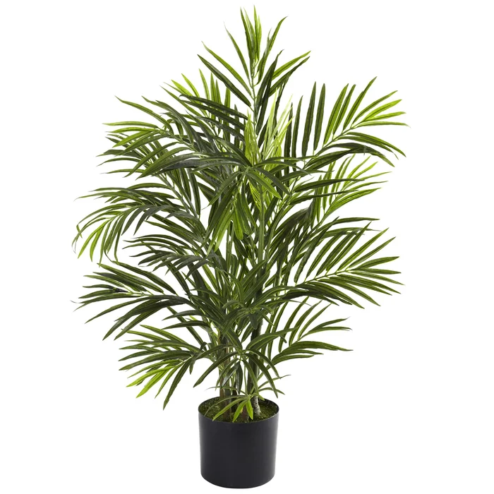 2.5′ Areca Palm UV Resistant (Indoor/Outdoor)