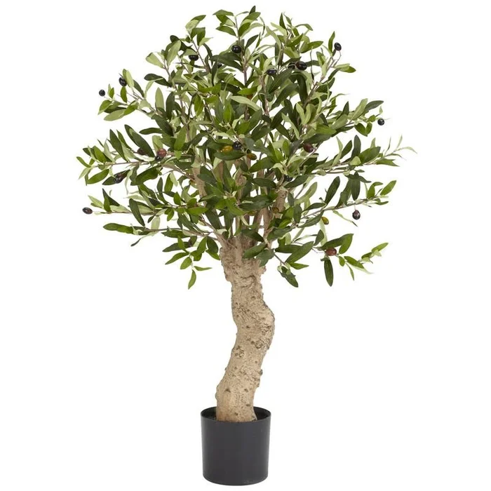 2.5′ Olive Silk Tree