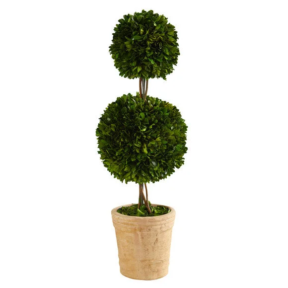 2.5′ Preserved Boxwood Double Ball Topiary Tree in Decorative Planter