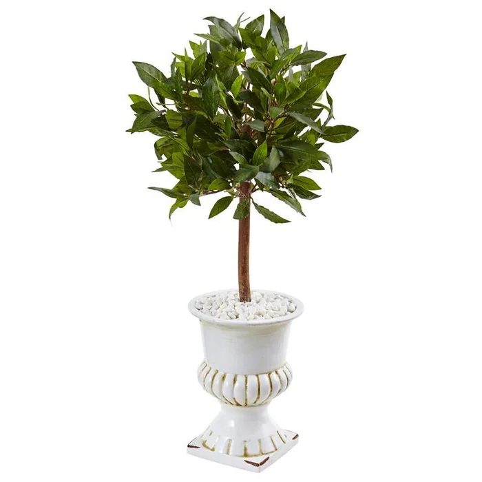2.5′ Sweet Bay Mini Topiary Tree in White Urn