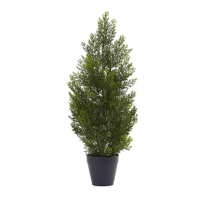 2′ Mini Cedar Pine Tree (Indoor/Outdoor)