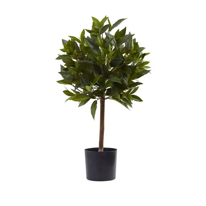 2′ Sweet Bay Mini Ball Topiary