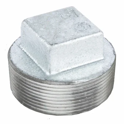 2 In. Galvanized Pipe Plug