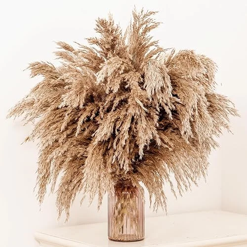 20 Pcs 23 Inch Tall Fluffy Pampas Grass XL Size Brown Dry Pompous Grass Decor Wedding Flower Boho Decor Natural Pompas Flower Bouquet (Brown, 23 inch)