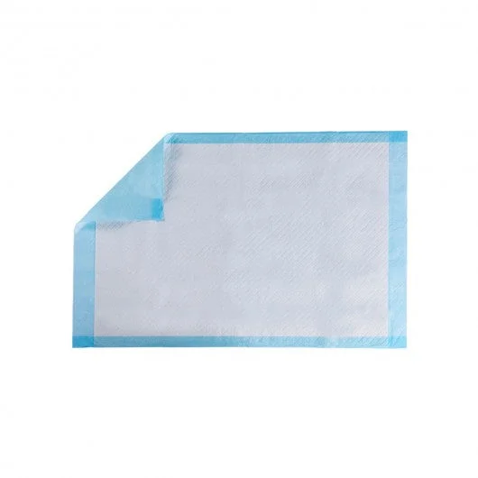 200 pcs 24″ x 24″ Pet Wee Pee Piddle Pad