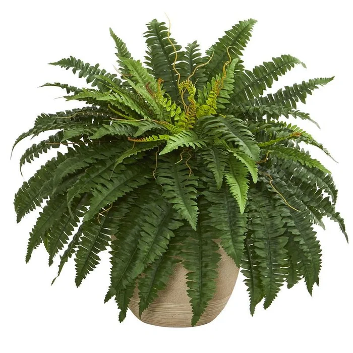 22″ Boston Fern Artificial Plant in Sandstone Planter