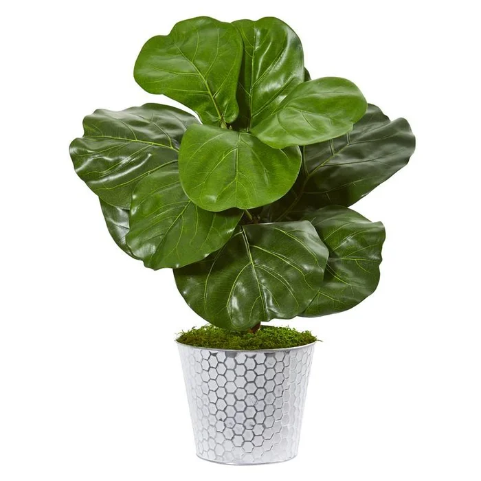 22″ Fiddle Leaf Artificial Plant in Decorative Planter