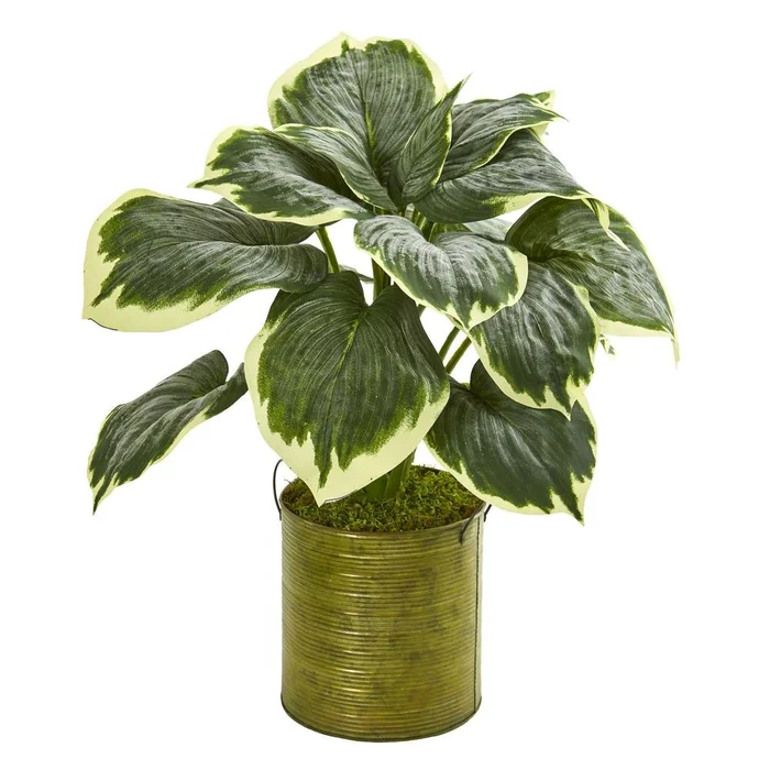 23′ Variegated Hosta Artificial Plant in Metal Planter