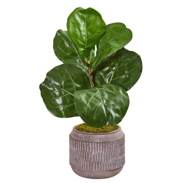 23″ Fiddle Leaf Artificial Plant in Stoneware Planter