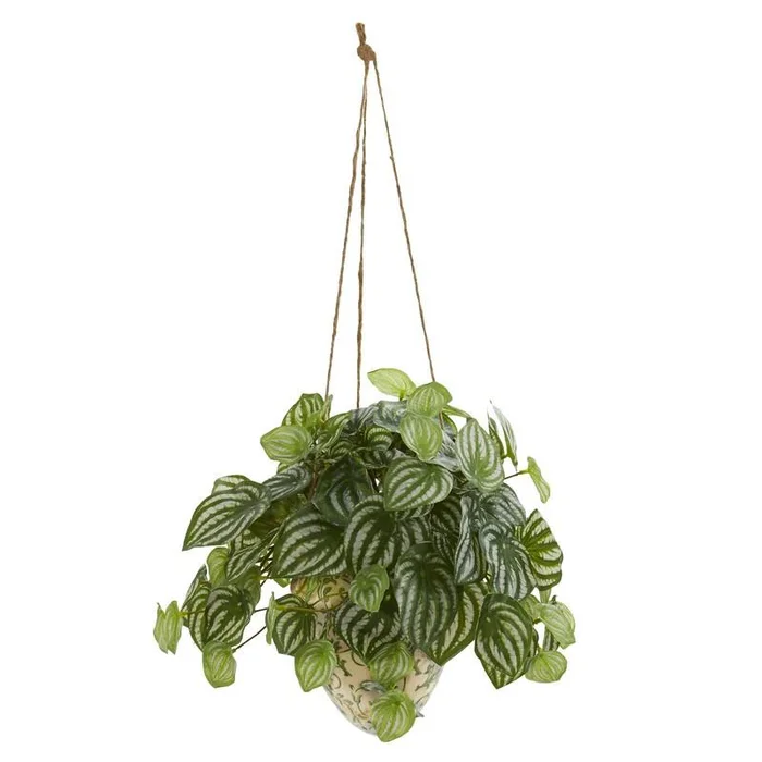 24″ Watermelon Peperomia Artificial Plant in Hanging Vase (Real Touch)