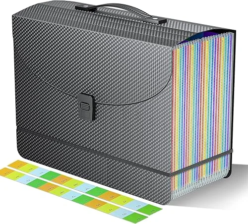25 Pockets Expanding File Folders,Accordion File Organizer,Portable Filing Box with Plastic Handle,Expandable File Folder,Monthly Bill Receipt Paper and Document Organizer,Colored Tabs,A4/Letter Size