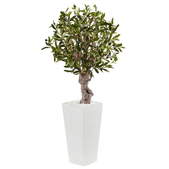 3.5′ Olive Tree in White Tower Planter