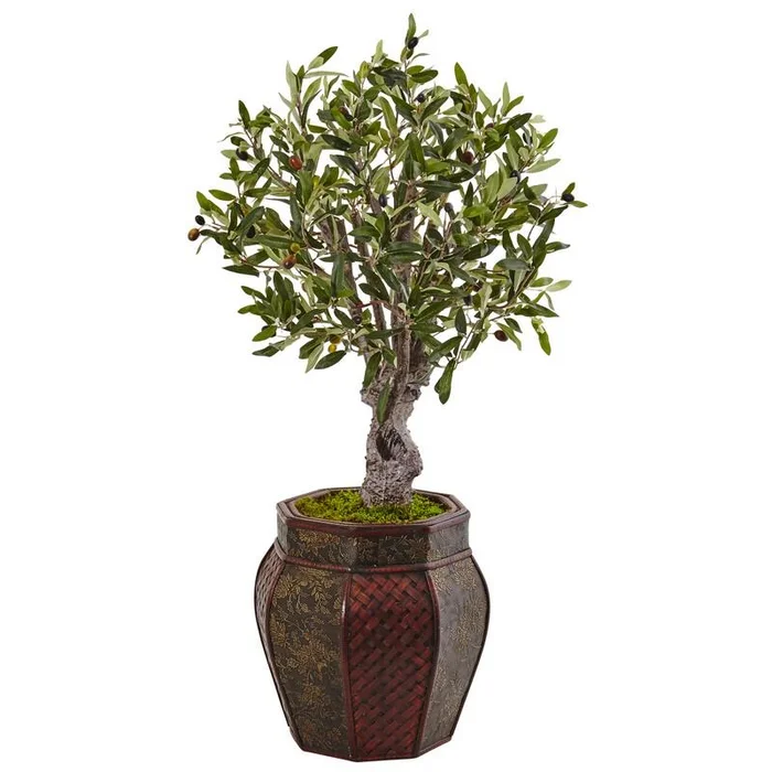 3′ Olive Tree in Weave Panel Planter