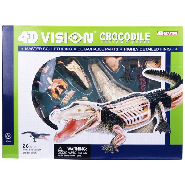 4D Vision Crocodile Anatomy Model