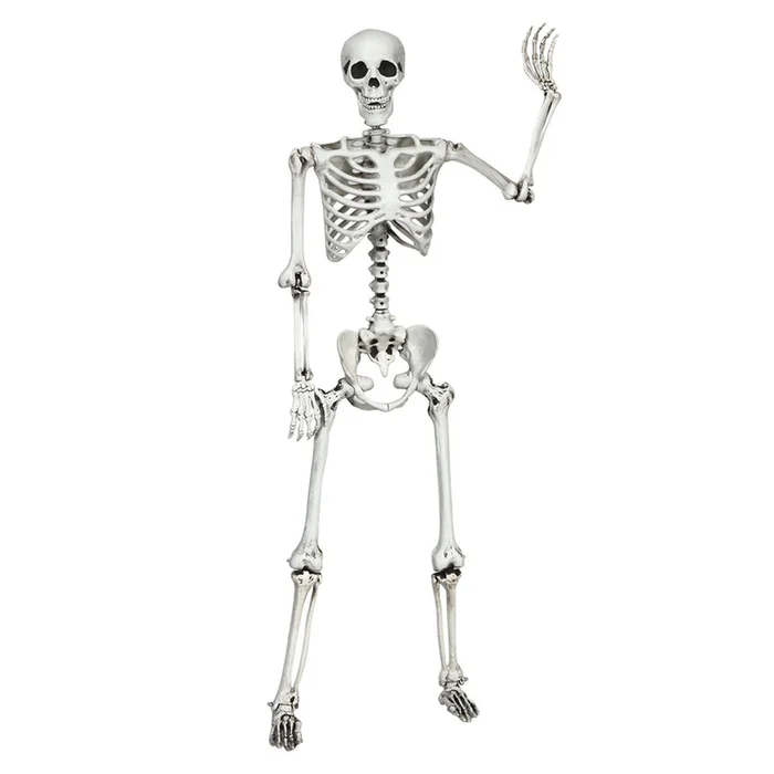 5.4-Foot Halloween Life-Size Full-Body Hanging Skeleton