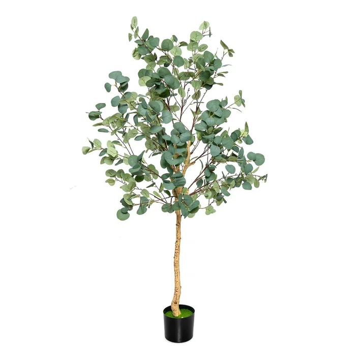5.5-Feet Artificial Indoor Eucalyptus Tree
