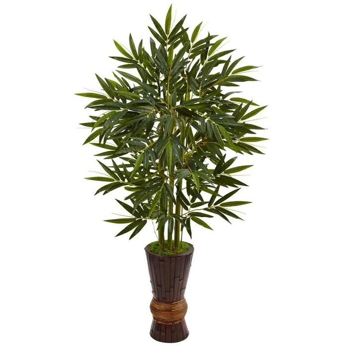 5′ Bamboo Tree in Bamboo Planter