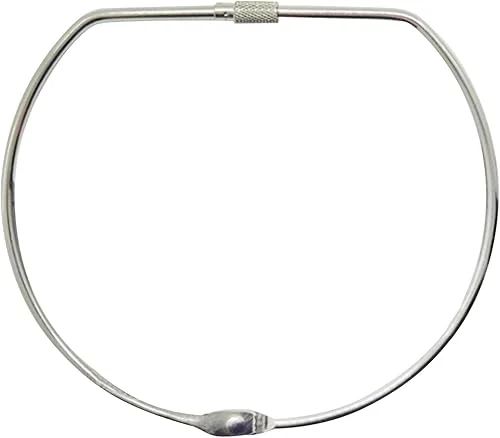 5 Inch Extra Large Key Ring:D-Shaped Binder Rings Easy Locking and Secure Opening,Sturdy Metal Rings,Loose Leaf Rings for Office and School Use,Silver,10PCS (5 Inch,Silver)