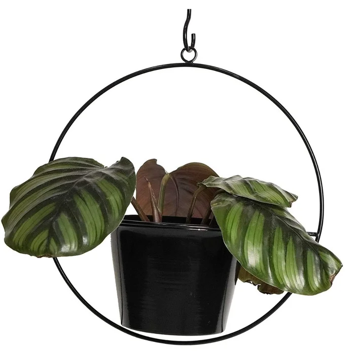 6-Inch Metal Hanging Pot Wall Planters