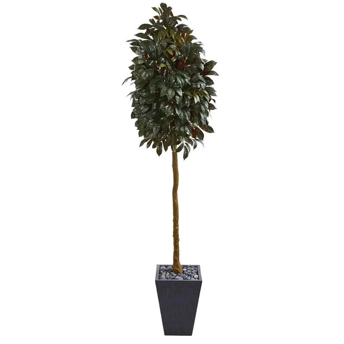 71″ Capensia Ficus Artificial Tree in Slate Planter