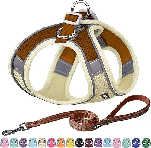 AIITLE Comfortable Dog Harness and Leash Set for Walking – Spring Step in Vest Harness,Reflective Bands, Adjustable No Pull Puppy Essentials, for Small Dogs and House Cats Beige XS