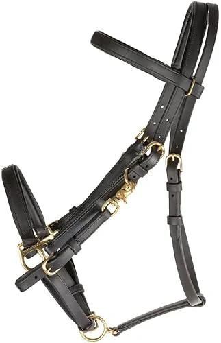 All Weather Trail Halter for Horses/Bridle Combo | Versatile Horse Riding Essential | All-Weather Endurance | Effortless Conversion