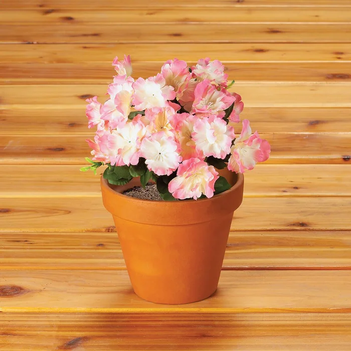 Azalea Bush by OakRidge™