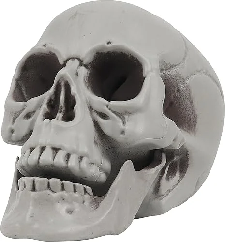 BEXU Skeleton Life Size for Halloween Skull Model 1:1 Replica Decor Graveyard Outdoor Human Adult