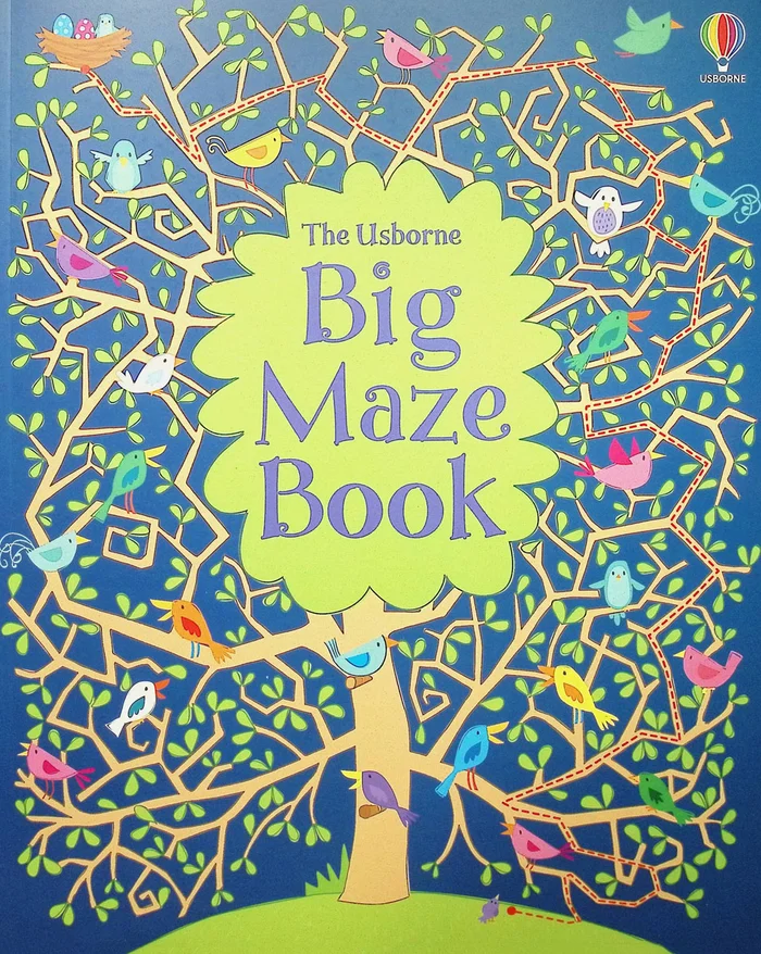 Big Maze Book