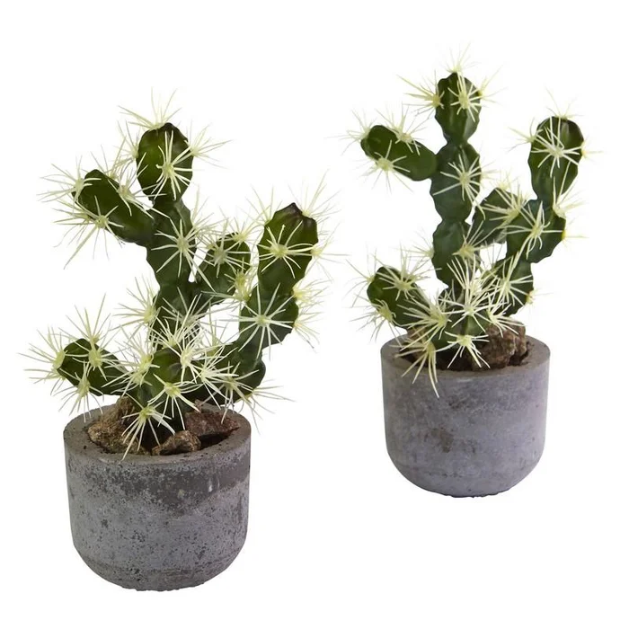 Cactus Potted (Set of 2)