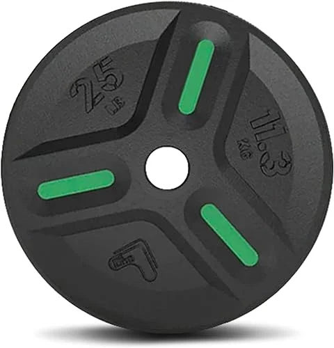 Cast Iron Plate Weights by Tribe WOD- Gym Weights for Men and Women, Cast Iron Plate Weights 1 of 2, Rubber and Steel Weights for Lifting (1 Plate)