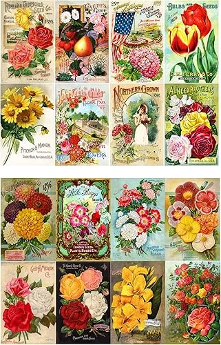 Decoupage Paper Pack (10sheets A4 / 8’x12′) Flowers Roses Garden Wildflowers FLONZ Vintage Paper