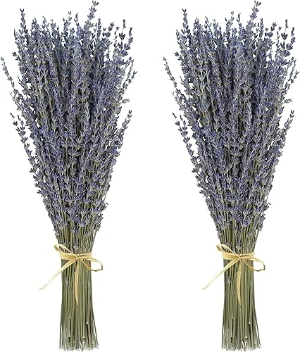 Dried Lavender 2 Bunches 100% Fresh Natural Purple Bouquet Flowers for Bathroom Photo Props Crafts Decoration, 15-17′ for Shower Weeding Vase Decor, Home Fragrance(200-220 Stems(100g/3.5oz Total))