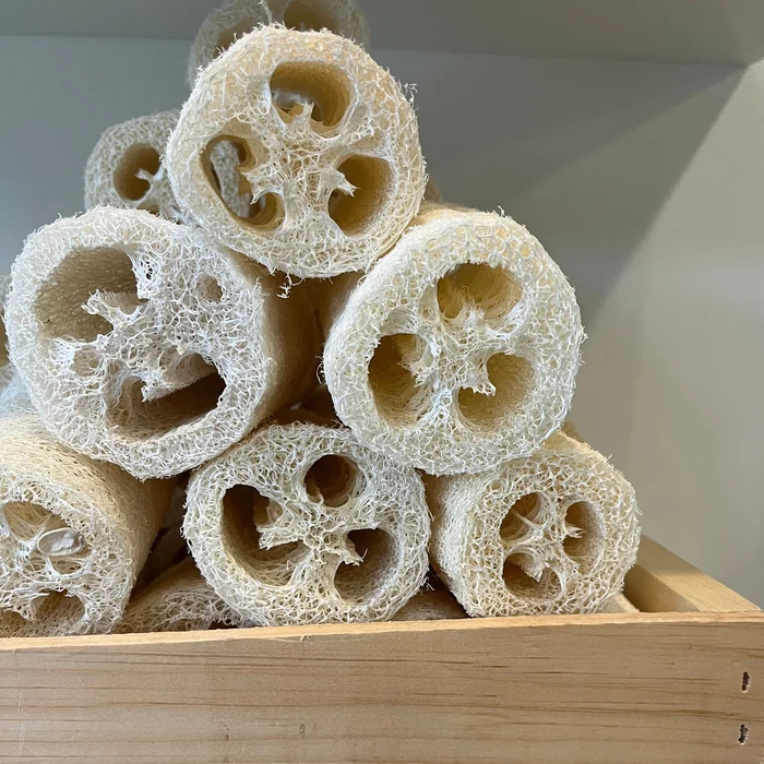Loofah Sponge