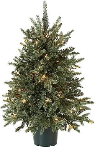 National Tree Company Artificial Christmas Tree For Entrances | Includes White Lights and Pot | Everyday Collections – 3 ft