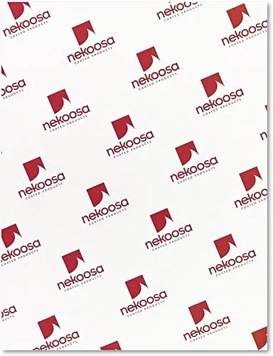 Nekoosa 17393 Fast Pack Digital Carbonless Paper, 8-1/2 x 11, White (Case of 2500 Sheets)
