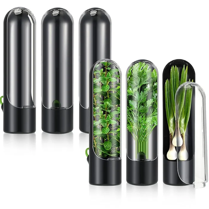 New Vegetable Preservation Box Black F