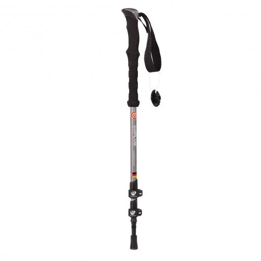 Pair 2 Trekking Walking Hiking Sticks-Gray