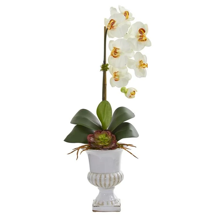 Phalaenopsis Orchid and Succulent Artificial Arrangement in Urn