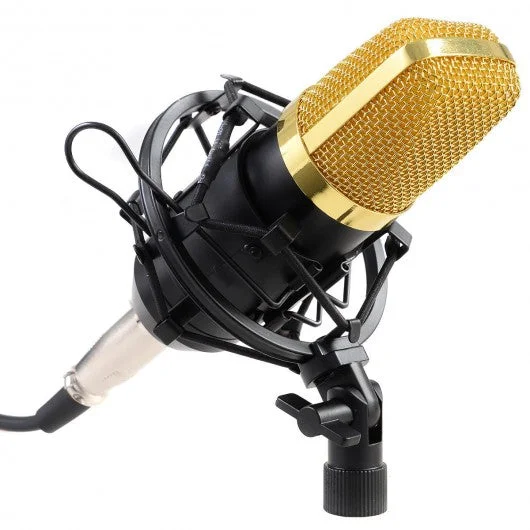 Professional Audio Condenser Microphone w/ Shock Mount