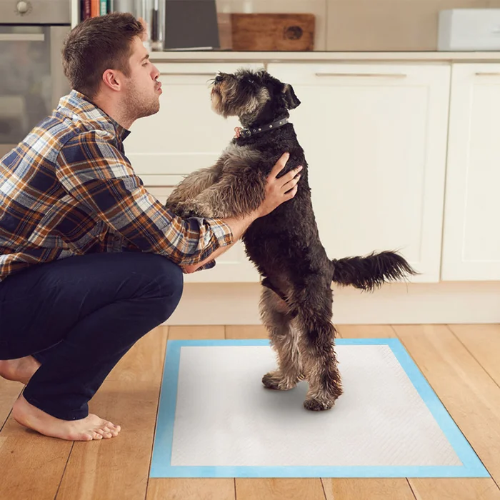 Puppy Training Pads (100-Pack)